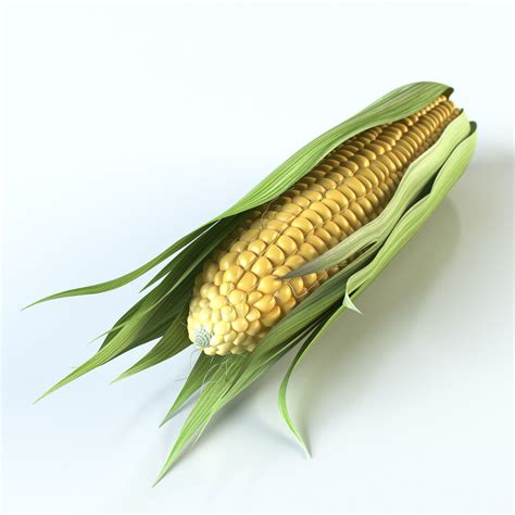 corn 3d model
